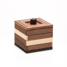 シルバーピーチ からくり創作研究会 岩原宏志 樹のある箱 Box with a